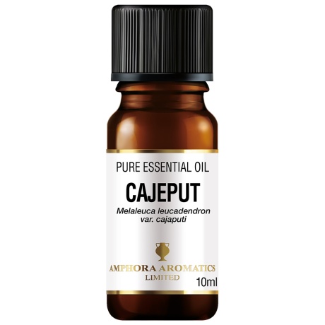 CAJEPUT (MELALEUCA LEUCADENDRON CAJAPUTI ) – OJA-MELALEUKA EETERLIK ÕLI-10ML.jpg