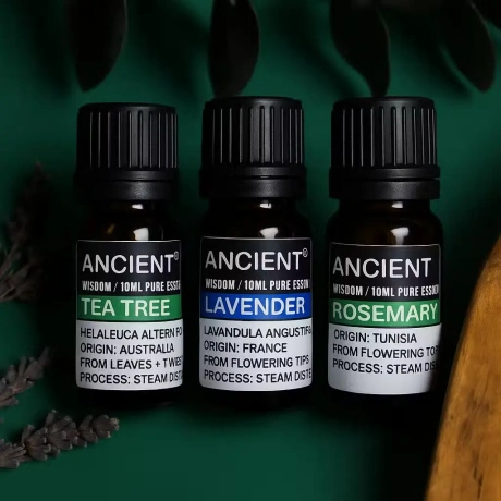 Ancient Wisdom lavendli, teepuu ja rosmariini eeterlike õlide komplekt 3x10ml
